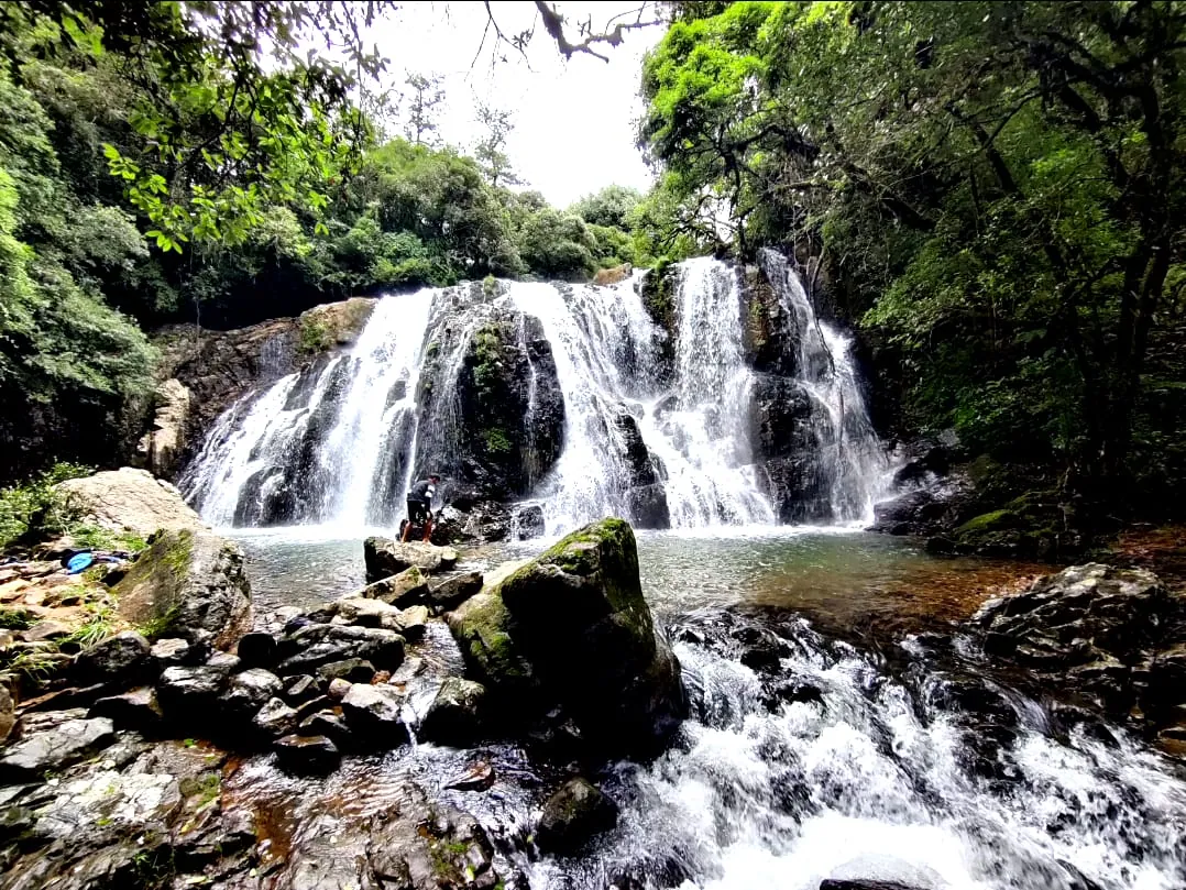 Waterfalls Nature WebP preview
