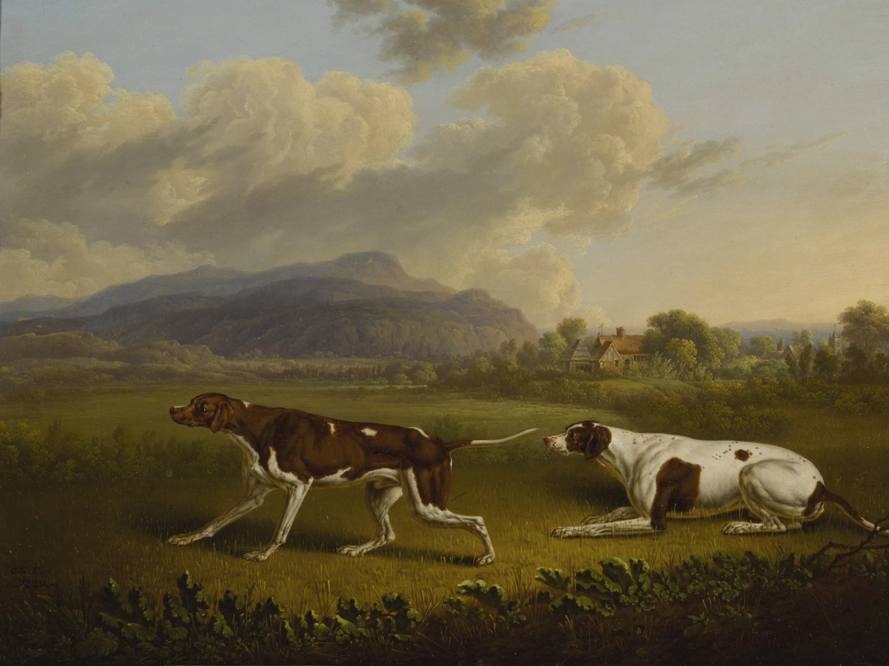 Two Pointers Landscape WebP preview