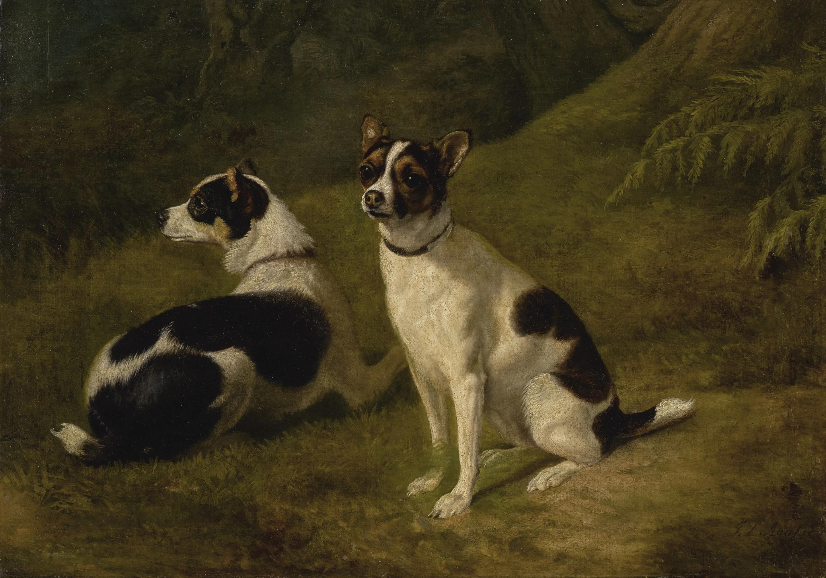 Two Terriers Landscape WebP preview